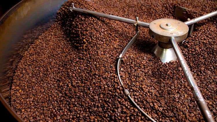 صناعة القهوة المختصة في كيان الإمداد